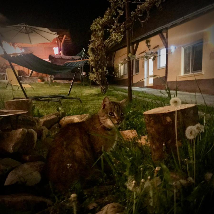 Transylvania Escape Apartman Riomfalva Kültér fotó